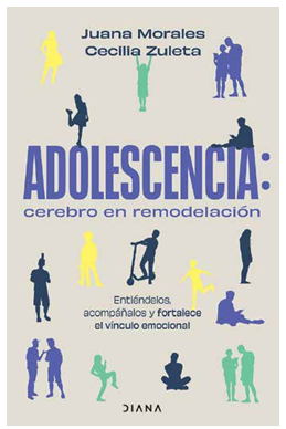 青春期：正在重塑的大脑