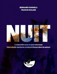 《 跟着夜的节奏重新认识世界》