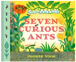 《七只好奇的蚂蚁》