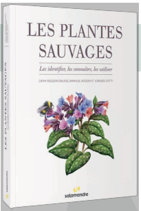 野生草本植物全书：辨识、了解、使用